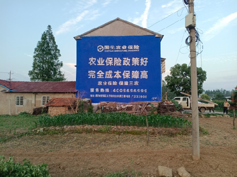 内江墙体广告为何受追捧？